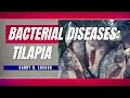 AQUA MED Bacterial Diseases of Tilapia