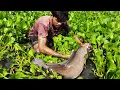 Lagu Amazing Fishing Video 2025.  Traditional Boy Catching Big Fish By Hand In The Big Bill.