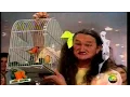 Download Lagu Melhores Momentos - Marquito