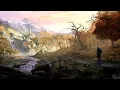 Baldur's Gate 3 - Immersive Soundtrack Playlist (You've Been Looking For)
