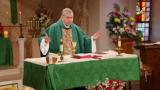 Fifteenth Sunday in Ordinary Time - July 12 2026