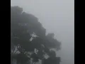 i was only temporary (slowed & reverb with rain)