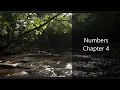 The Book of Numbers Chapter 4 - New King James Version NKJV