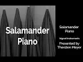 Download Lagu Salamander Piano by Bigcat Instruments Improvisation