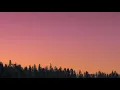 Sofia Carson - Fool's Gold (Lyrics)