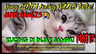 Download KUCING DI SIKSA SAMPAI MATI !! APA SALAHKU DIINJAK-INJAK MP3