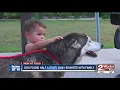 Joint effort leads to recovery of stolen dog from OKC