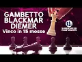 Download Lagu GAMBETTO BLACKMAR DIEMER | Vinco in 15 mosse