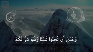 عسى ان تكرهوا شيئا وهو خير لكم وعسى ان تحبوا شيئا وهو شر لكم والله يعلم وانتم لا تعلمون دندنها