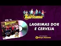 Download Lagu Grupo Karisma - Lagrimas Dor e Cerveja