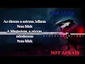 Skillet - Not afraid(Hungarian lyrics video)