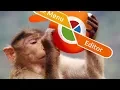 Blender Pie Menu Editor Custom pie menus