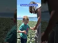 Exploring Mukilteo Beach at Lowtide