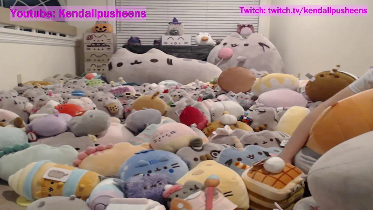 PUSHEEN SHOWCASE TIME