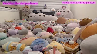 PUSHEEN SHOWCASE TIME