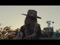 Lainey Wilson - Wildflowers And Wild Horses (Visualizer)