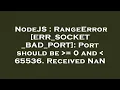 NodeJS RangeError ERR - SOCKET