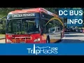 Hop On Hop Off Tours Vs Public Buses in Washington DC