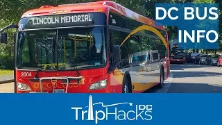 Hop On Hop Off Tours Vs Public Buses in Washington DC