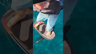Another Day Living on the Water