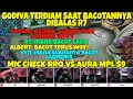 Download Lagu GODIVA TERDIAM KETIKA BACOTANNYA DIBALAS R7 || MIC CHECK RRQ VS AURA - Mobile Legends