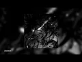 Flare Hensonn ( Perfect Slowed )