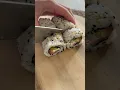 RECIPE BELOW Sushi at home