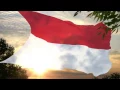 Indonesia (Olympic Version / Versión Olímpica 2012 / 2016)