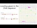 Gene prediction from DNA sequences Tutorial
