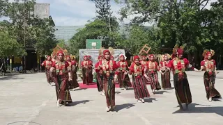 tari kecapi mandar xi f1 pertunjukan tari seni budaya man pinrang 2025