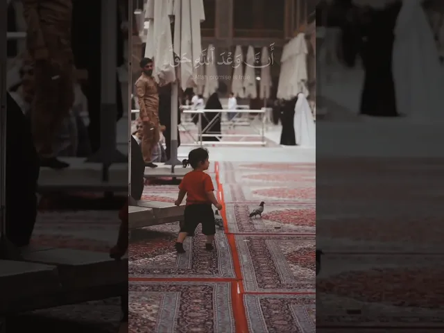 ⁣فَرَدَدۡنَـٰهُ إِلَىٰۤ أُمِّهِۦ كَیۡ تَقَرَّ عَیۡنُهَا || الشيخ شبر معله ، العتبة العلوية المقدسة