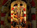 Download Lagu Om Saravanabhava | Lord Murugan Blessings on Tuesday | Vel Swamy Devotional Shorts 🙏 Daily Shorts