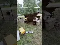 Millions of honeybees suddenly filled the air after a truck carrying bee hives overturned