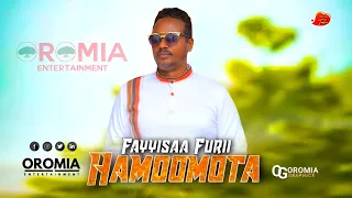 Fayyisaa Furii HAMOOMOTA New Oromo Music HD 2023 