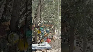 Hog Cay Yacht Club. Ragged Islands. Bahamas.   #sailing  #bahamas #raggedislands