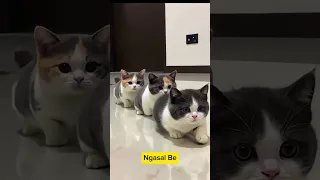 Send This Without Message 