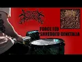 Download Lagu Visceral Disgorge - Force Fed Shredded Genetalia (Drum Cover)