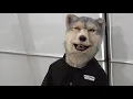 Download Lagu ジャン・ケン・ジョニーのいきなり手料理！！幻のジャンケン焼き