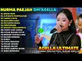 Download Lagu BADAI BIRU - NURMA PAEJAH ADELLA - OM ADELLA TERBARU 2023