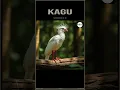 Download Lagu Kagu Sound Fx