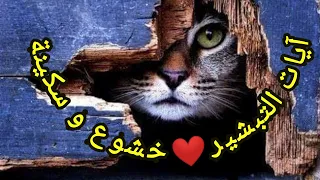 صوت ملائكي حالات واتساب ڤيويوات قصيرة 