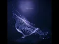 Libellules (Album Edit)