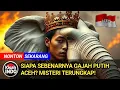 Download Lagu Legenda Gajah Putih Aceh: Misteri di Balik Sang Pangeran