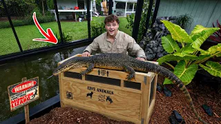 I got a 6ft MONITOR LIZARD for My BackYard!!
