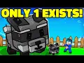 Download Lagu This Raccoon Steals Every 11 Minutes on Grow a Garden (Only 1 Exists in the World)