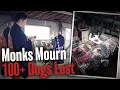 Download Lagu [NATIONAL JAPANESE NEWS] Breeding Pets In An Unsanitary Environment | Animal Abus