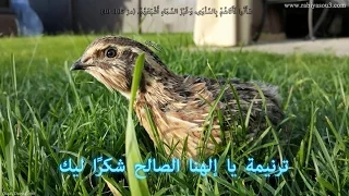 يا الهنا الصالح شكرا ليك دندنها