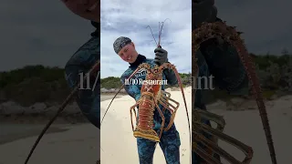 Best way to eat seafood!! #bahamas #lobster #catchandcook