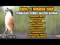 Lagu BURUNG CENDET GACOR BONGKAR MATERI KEKINIAN 100% MEWAH