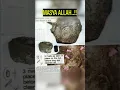 Download Lagu Penemuan luar biasa kapal Nabi Nuh